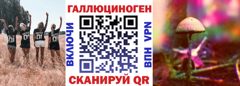 продажа наркотиков  нарко площадка клад  MEGA ссылка  Галлюциногенные грибы MAGIC MUSHROOMS  Сим 